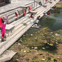 Im trüben Wasser des Lake Pichola wird gebadet und Wäsche gewaschen
