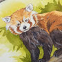Aquarellbild Roter Panda