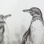 Zeichnung Galapagos Pinguine