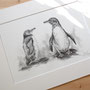 Zeichnung Galapagos Pinguine