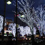 大井町駅前にクリスマスのイルミネーションが映えます。