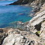 Anse Côte Vermeille © Nicolas GIRAUD