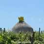 Trullo-Radwanderung 2013