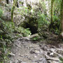 Ruakuri Caves