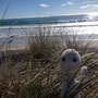 "Gnome" am Waihi Beach