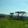 Awhitu Peninsula