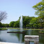 Fuente principal del Parque Yoyogi