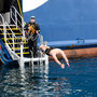 In der Antarktis schwimmen gehen 