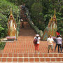 Trepp mit Naga, Wat Doi Suthep, Chiang Mai