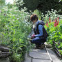 Great Dixter, UK