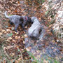 Mit Mama in den Bach