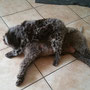 Toben mit Mama Milka