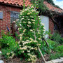 garms und gar gartengestaltung 