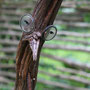 garms und gar gartengestaltung 