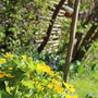  garms und gar gartengestaltung 