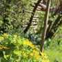  garms und gar gartengestaltung 