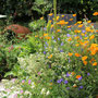  garms und gar gartengestaltung