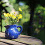 garms und gar gartengestaltung 