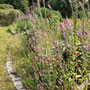  garms und gar gartengestaltung 