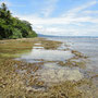 Puerto Viejo