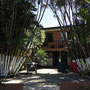 Costa Rica Backpackers