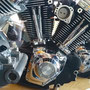 Tischset Harley | # 95053