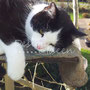 Art.-Nr. 20011