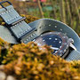 Band: Seatbelt Nato »Columba« Pvd | Uhr: Sinn U50 SDR