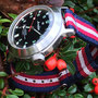 Band: Nato Split »Juneau« | Uhr: Vostok Amphibia