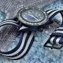 Band: US Mil PVD »Chesapeake« | Uhr: Corvus Bradley FSC