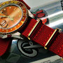 Band: Nato Gold »Crimson« |Uhr:Rolex GMT Master II 16713