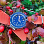 Band: Ribb Nato »Flash« | Uhr: MKII Bund