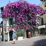 In Sirmione