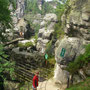 Bastei kurz vor on top