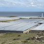 Mar de Plastico