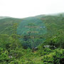 Das Hochland von Sri Lanka vom Zug aus