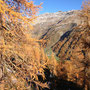 Die Farbe einmalig, im Hintergrund die Schliniger Alm