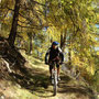 bis wir den nächsten Trail Richtung Calven Wald in herbstlicher Stimmung - hier im Nadelwald