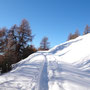 der präparierte Forstweg
