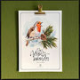 perpetual watercolor watercolour painting art Quiz Advent calendar | Ewiger Aquarell Kunst Kunstkalender Kalender Adventskalender | Sandra Mahn