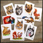 animal postcard Postkarte set watercolor watercolour painting drawing rabbit squirrel parrot macaw kingfisher leopard wolf husky dog brown bear lynx | Tier Aquarell Zeichnung Kaninchen Eichhörnchen Eisvogel Papagei Leopard Bär Braunbär Luchs | Sandra Mahn
