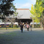 願興寺の本堂。比叡山の大講堂よりも一回り大きいかも？