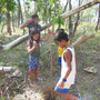 Planting trees