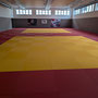 Trainingshalle mit Judomatte