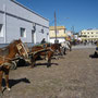 Transportunternehmen in Südbrasilien