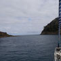 Great Barrier Island