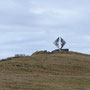 Wahrzeichen von Kap Horn (Albatross)