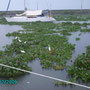 Hafen von Recife