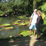 botanischer Garten Rio am Seerosenteich