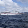 Kreuzfahrtschiff Hanseatic aus D am Kap Horn